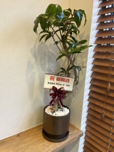 明日オープン初日です