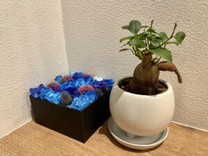 たくさんのお祝いありがとうございます